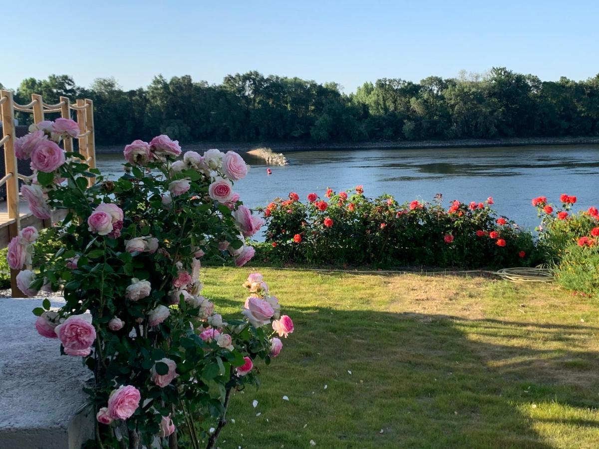 Maisons Au Bord De La Loire - Maison Paradis & Maison Bonheur Au 248 Riverside Le Fosse-Neuf Zewnętrze zdjęcie